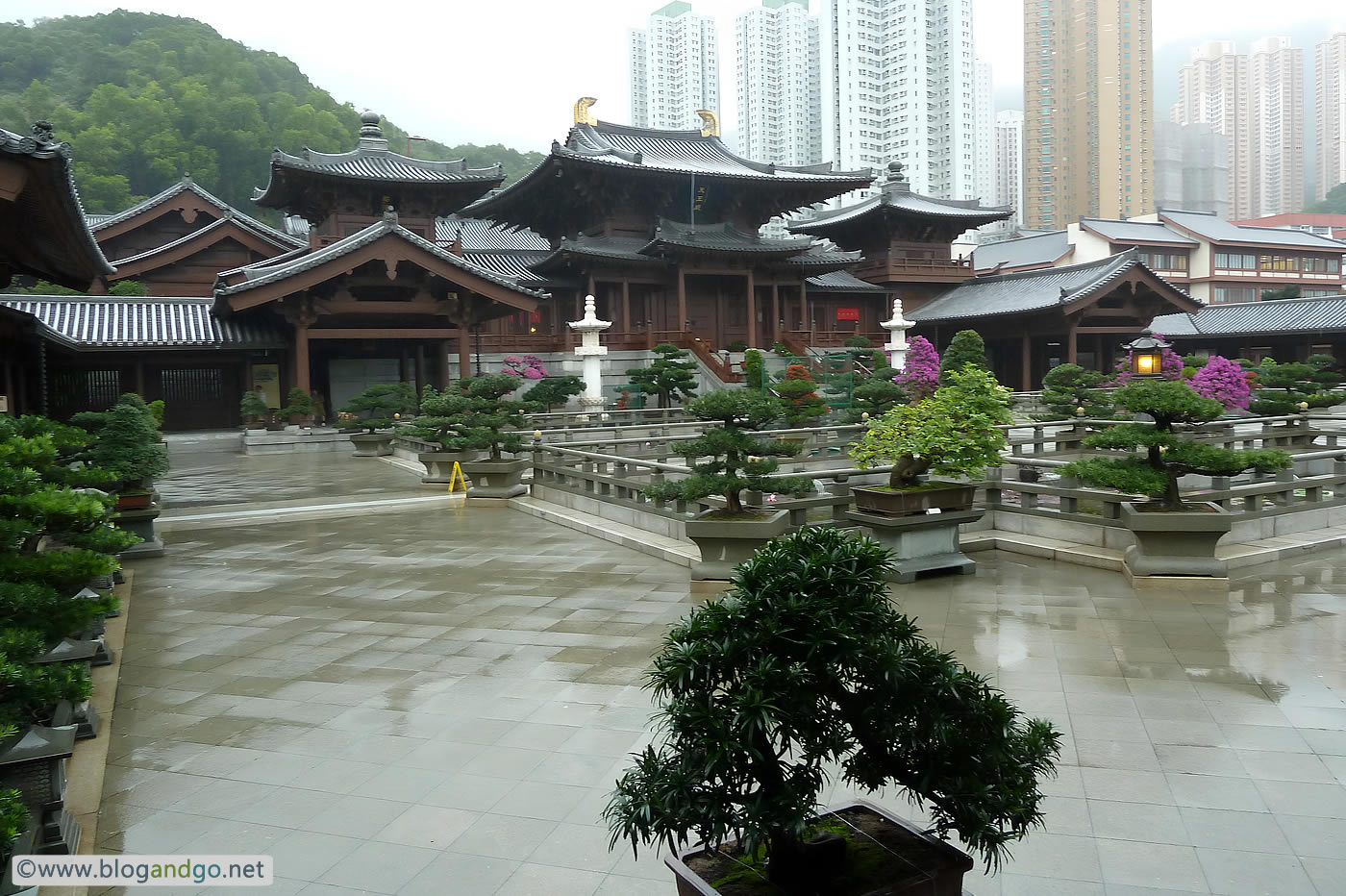 Chi Lin Nunnery - Diamond Hill - Complex (15 Jan, 2012)